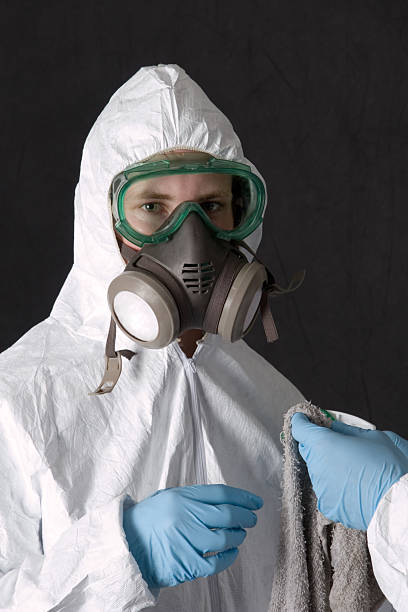 Professional Mold Removal in Monroeville, OH